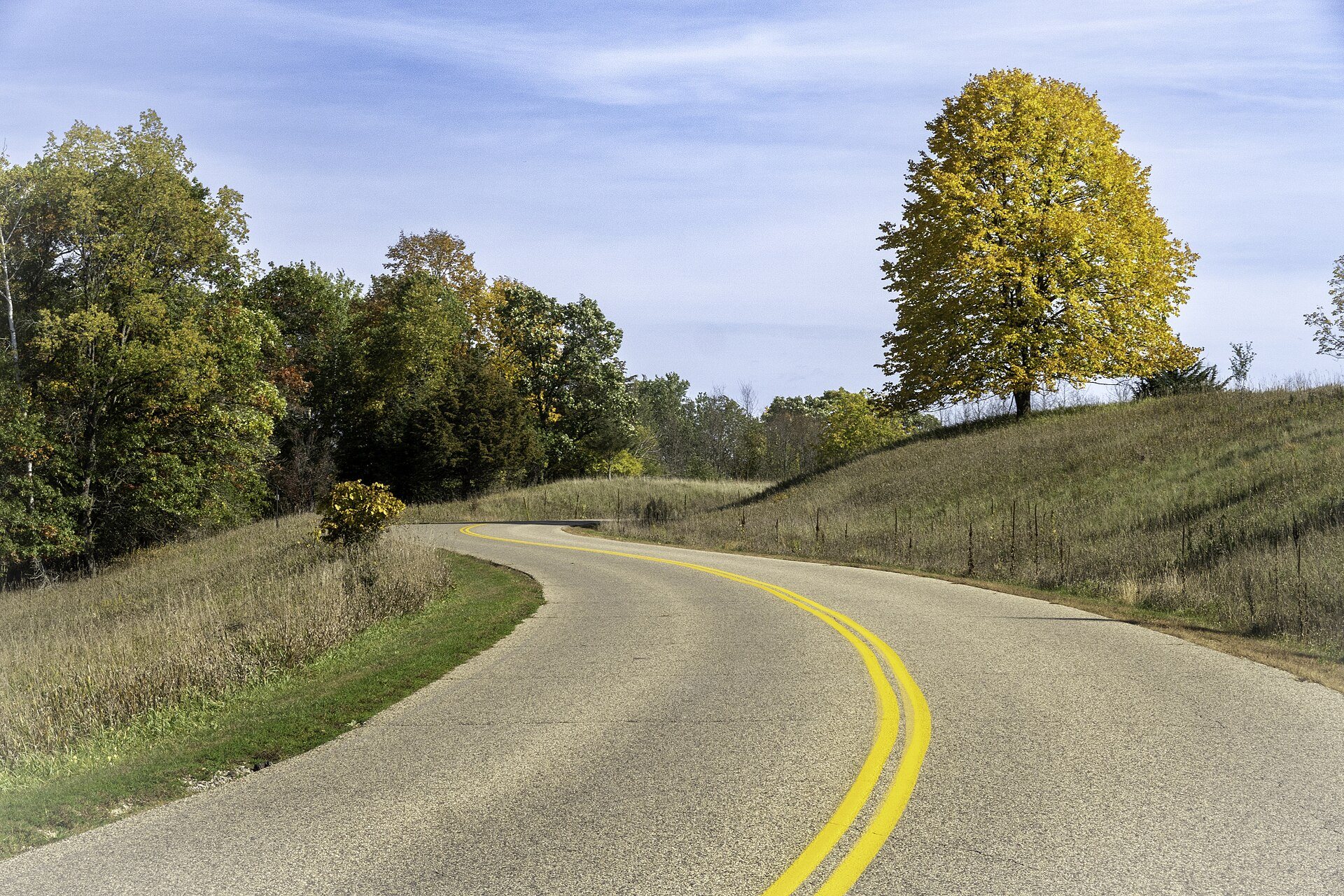 Fall color along a winding road in Afton State Park